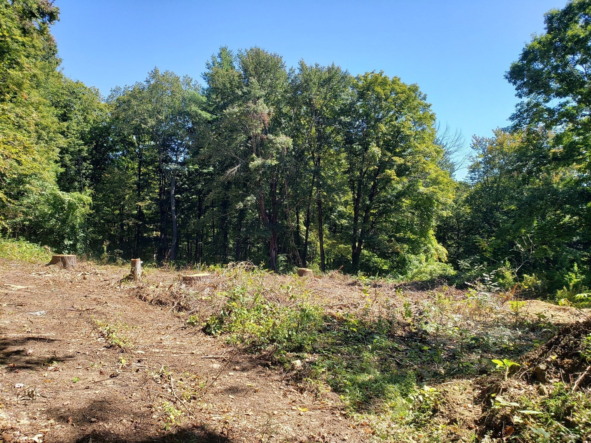 40 Harlow Clark Road, Huntington, MA, 40 Harlow Clark Road, Huntington, MA Photo #10