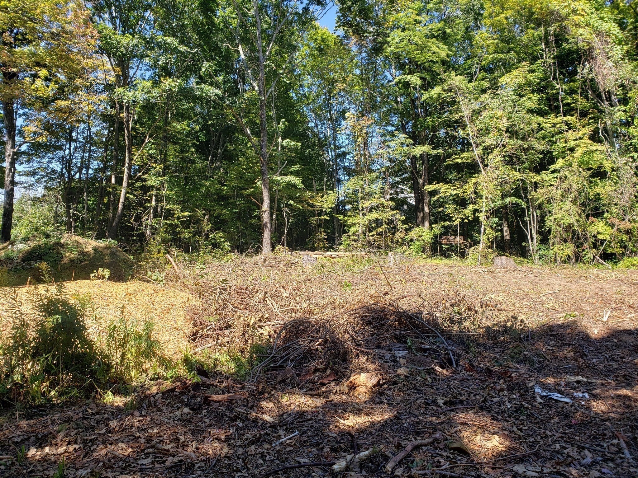 40 Harlow Clark Road, Huntington, MA, 40 Harlow Clark Road, Huntington, MA Photo #11