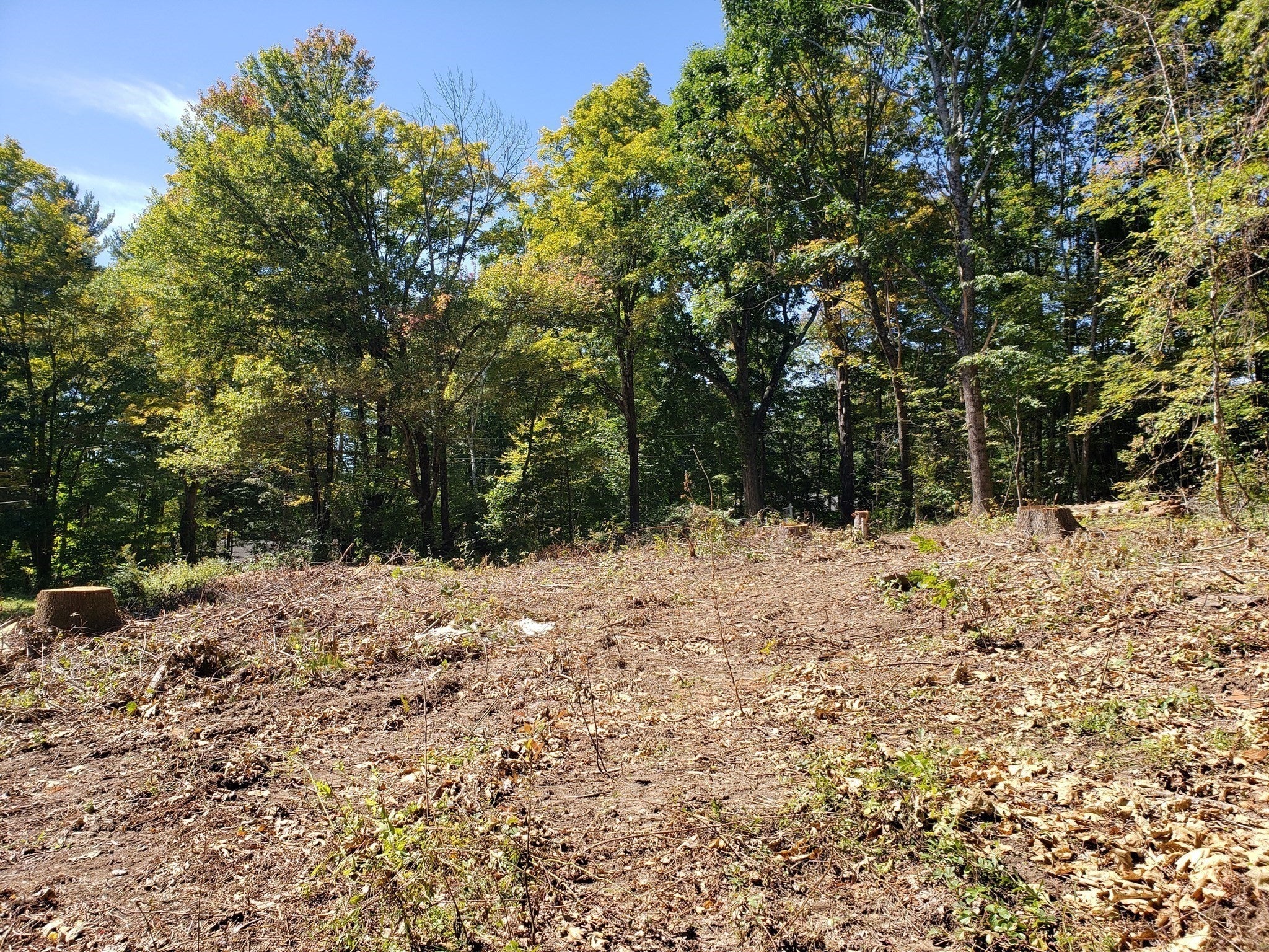 40 Harlow Clark Road, Huntington, MA, 40 Harlow Clark Road, Huntington, MA Photo #16