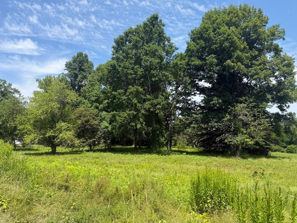 1030 South East Street, Amherst, MA, 1030 South East Street, Amherst, MA Photo #40