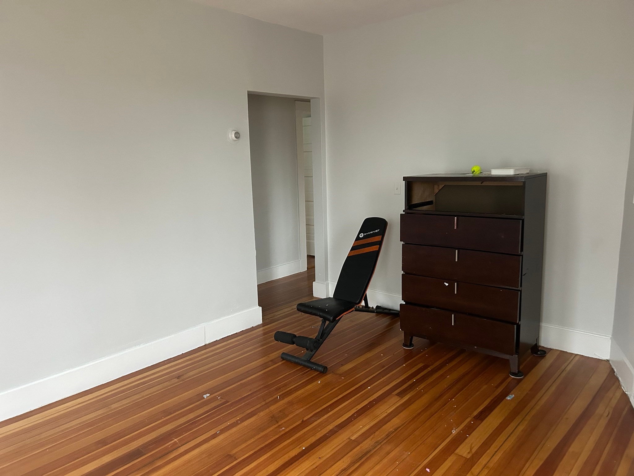 110 Norton ST #2, Boston, MA, 110 Norton ST #2, Boston, MA Photo #9
