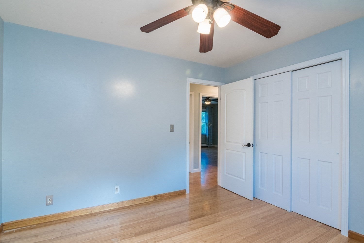 4 Phillips Place, Hadley, MA, 4 Phillips Place, Hadley, MA Photo #29