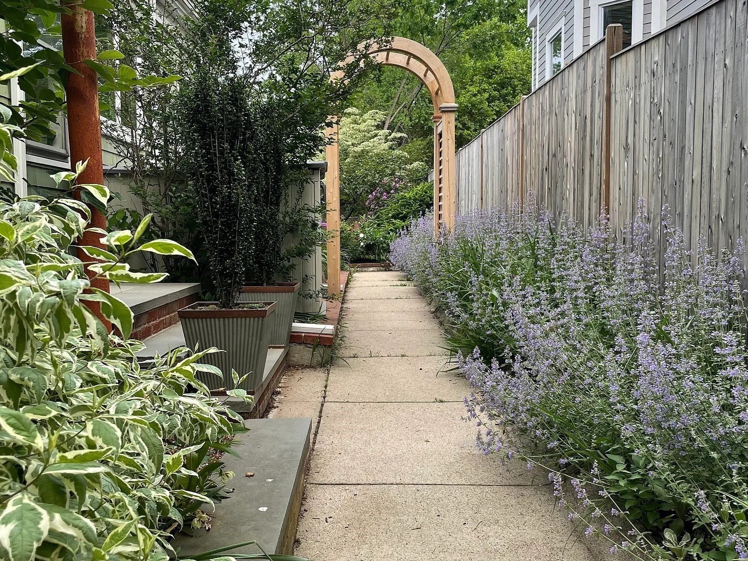 38 Harvard Street #2, Somerville, MA, 38 Harvard Street #2, Somerville, MA Photo #33