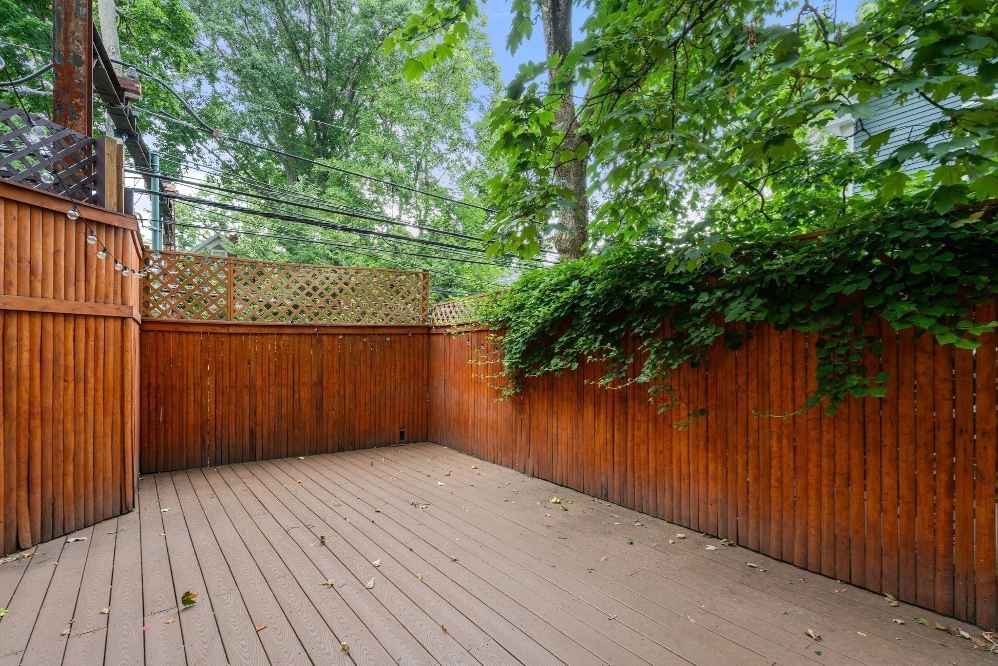 50 Cameron Street, Brookline, MA, 50 Cameron Street, Brookline, MA Photo #21