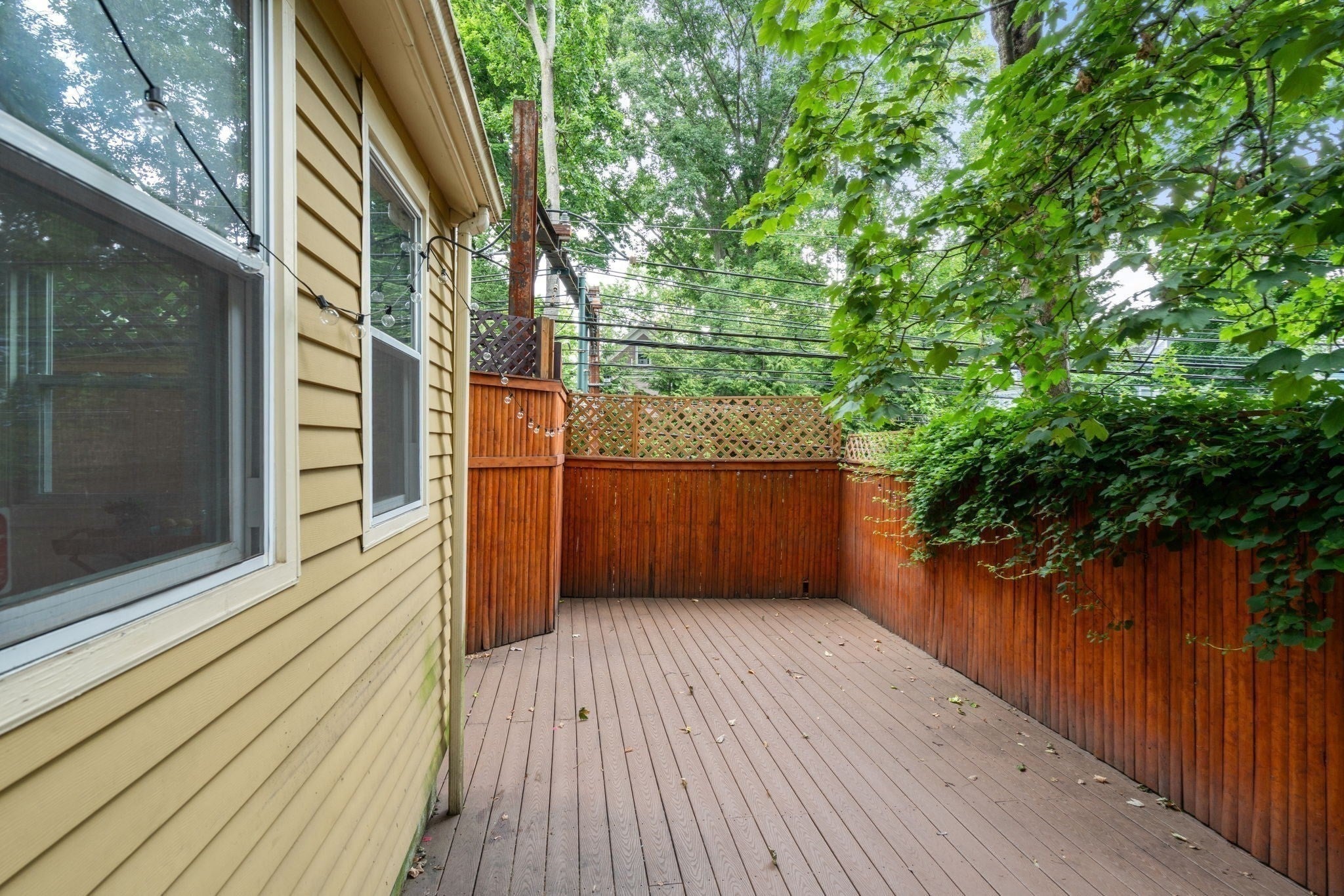 50 Cameron Street, Brookline, MA, 50 Cameron Street, Brookline, MA Photo #22