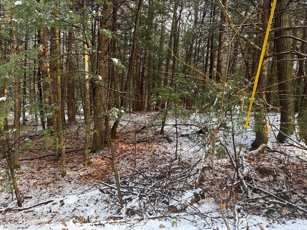 Lot 10 Christian Cir