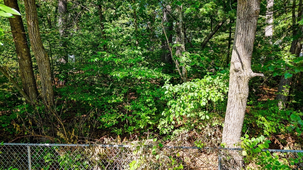 LOT 54B Beverly Road