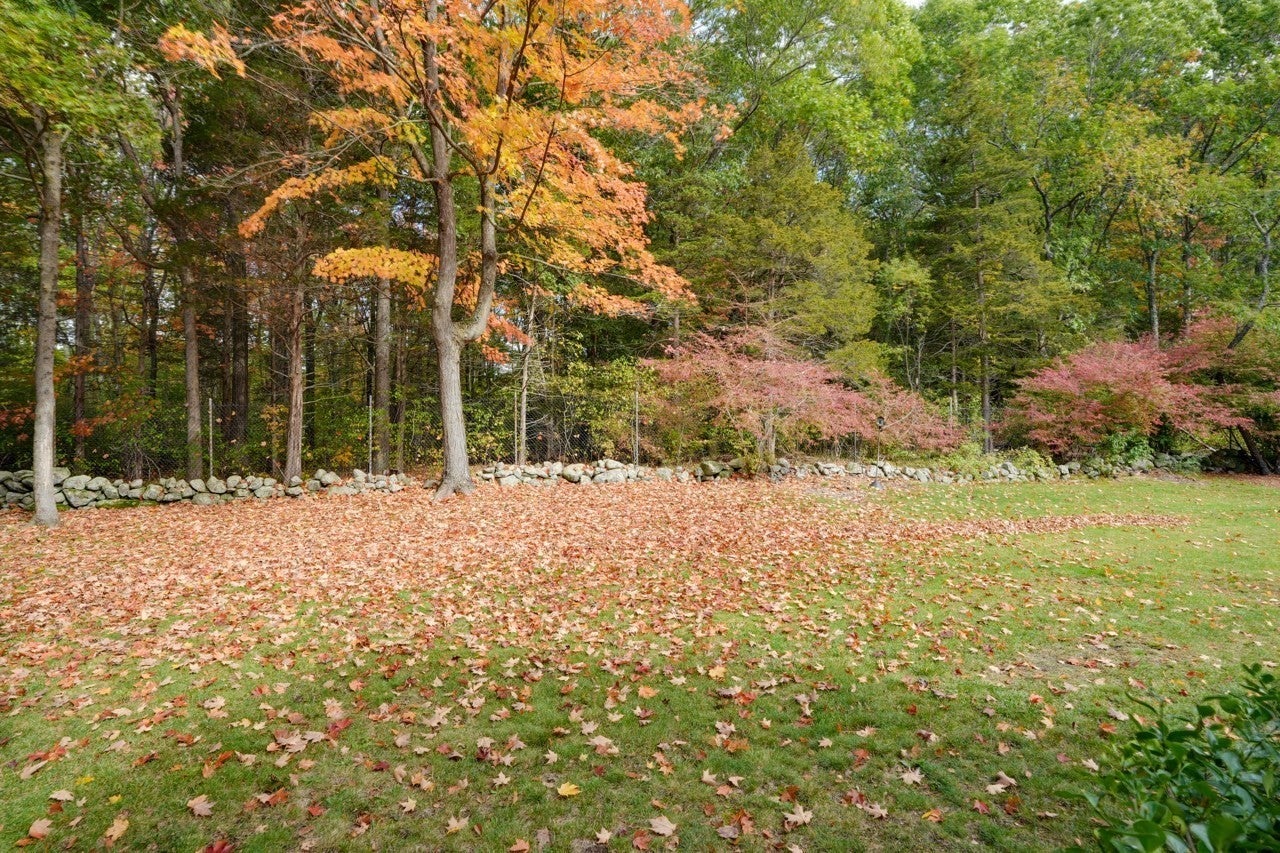 10 Roundwood Rd, Natick, MA, 10 Roundwood Rd, Natick, MA Photo #32