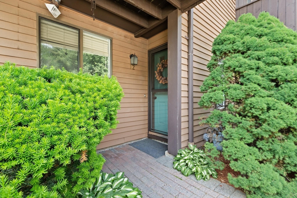 26 Wilson St 12
