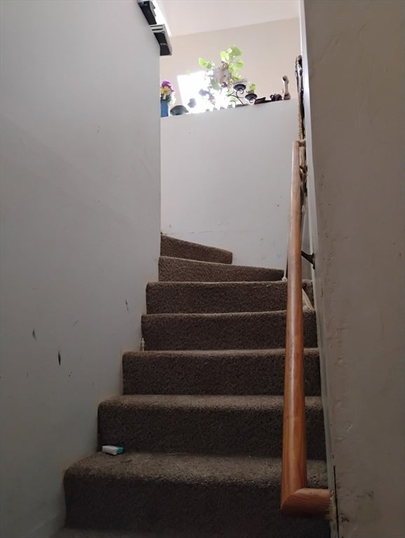 24-28 Glenway ST, Boston, MA Photo #9