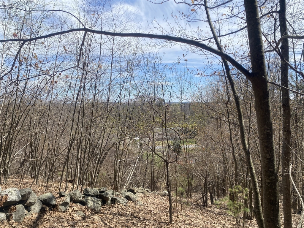 22 Newcomb Rd Lot 1