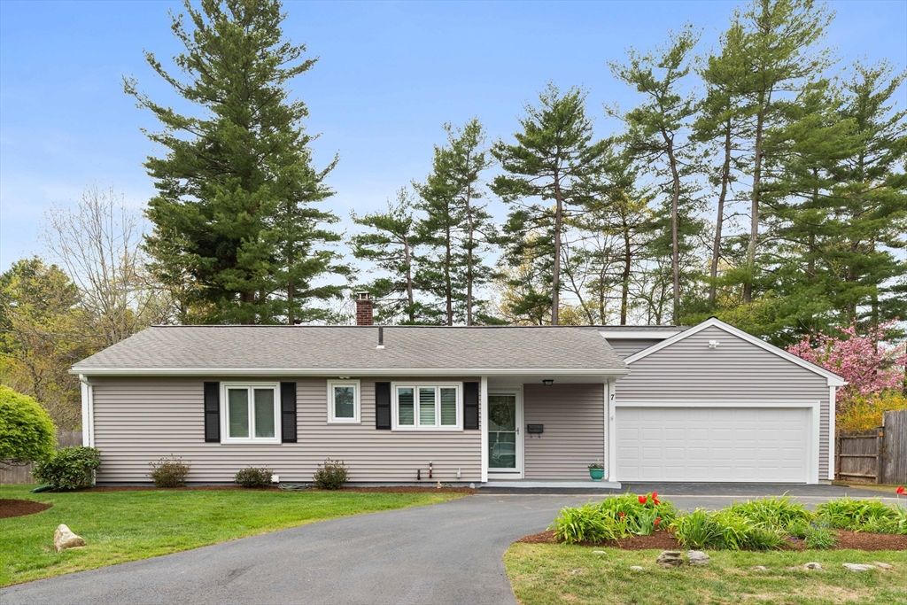 7 Haynes St