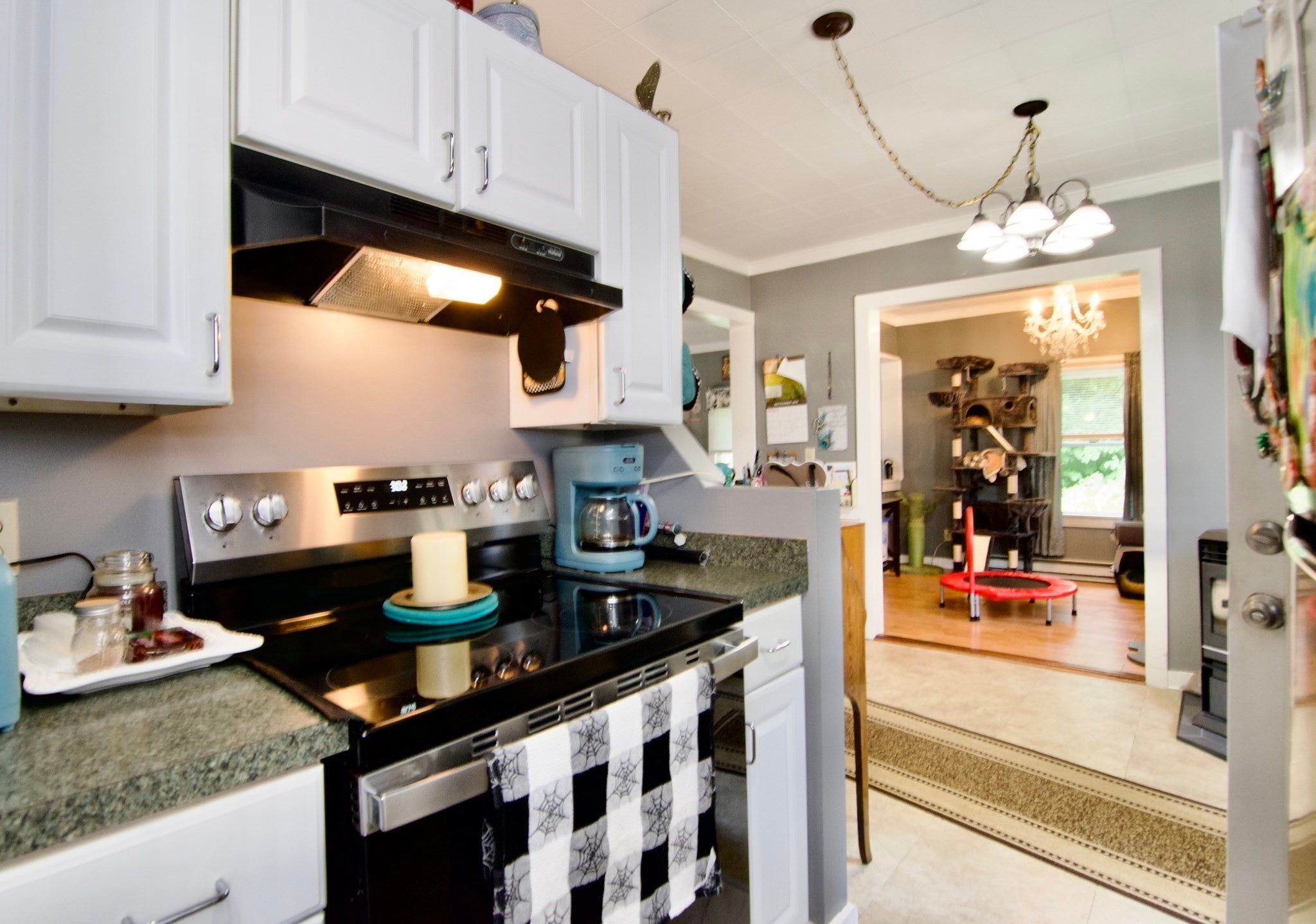 35 Thayer Ave, Springfield, MA, 35 Thayer Ave, Springfield, MA Photo #12
