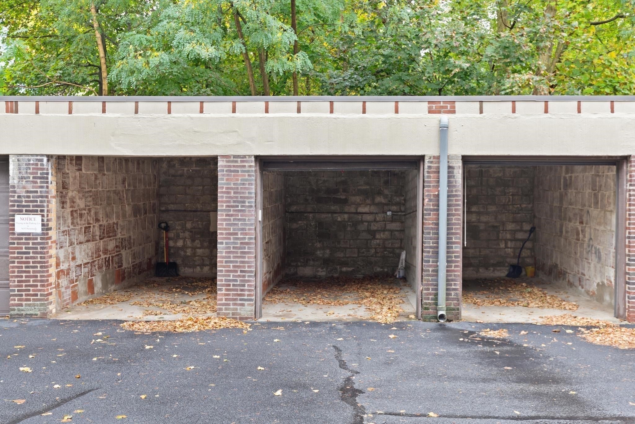 12 Gibbs St #2, Brookline, MA Photo #15