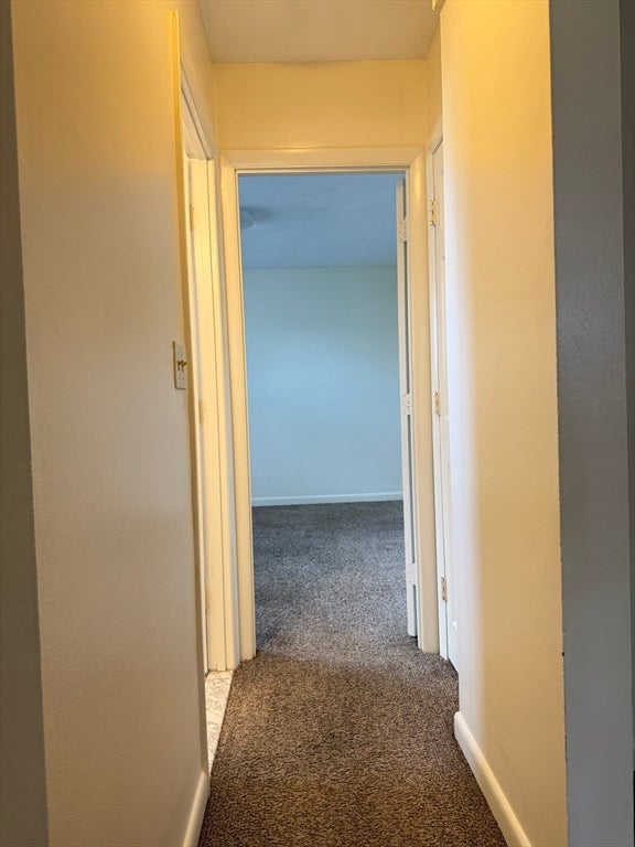 49 Sumner Street #4, Stoughton, MA, 49 Sumner Street #4, Stoughton, MA Photo #5
