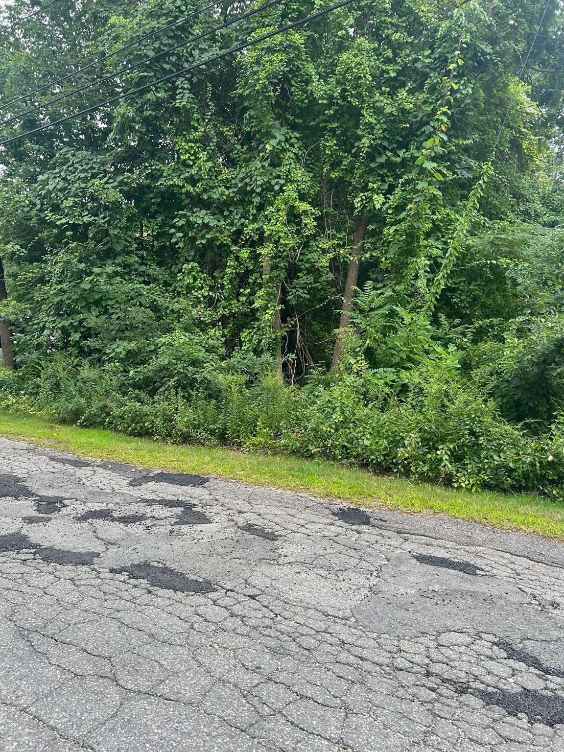 56 Birch Hill Rd