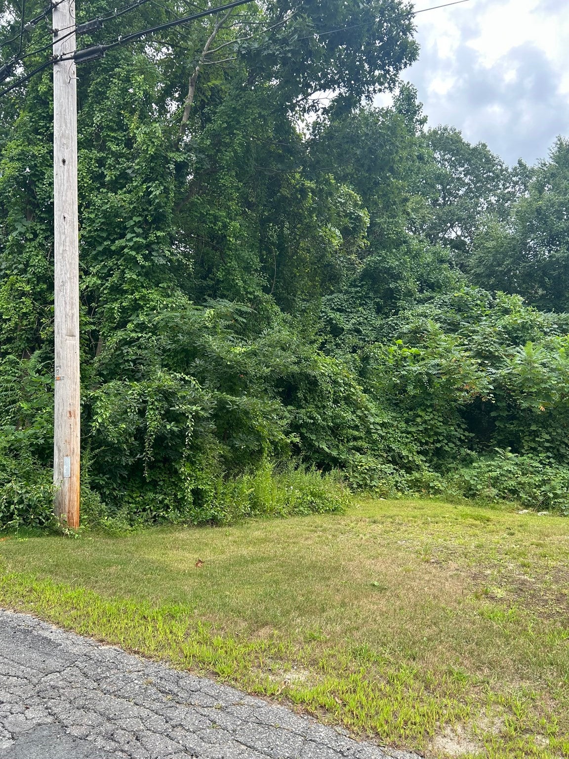 56 Birch Hill Rd