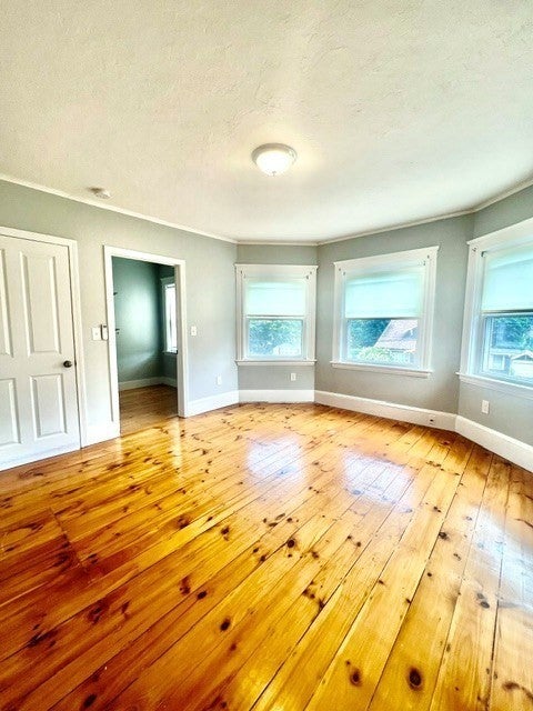 20 Chadwick St #20B, Haverhill, MA, 20 Chadwick St #20B, Haverhill, MA Photo #8