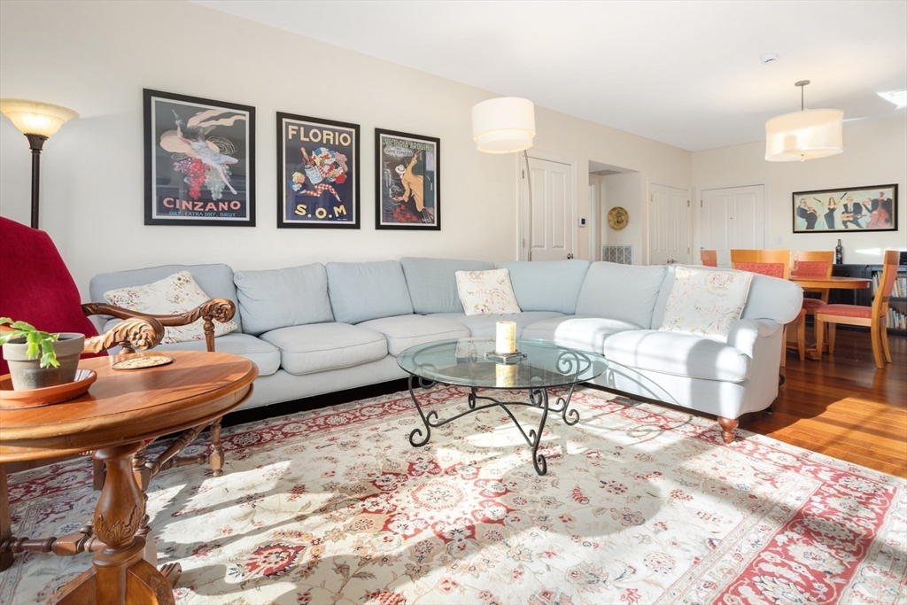 248 Albion Street 231