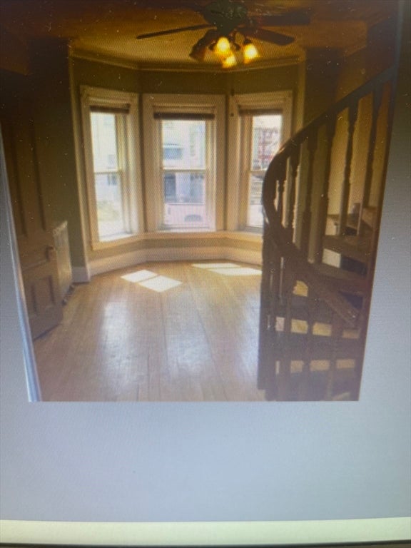 30 Alaska St, Boston, MA, 30 Alaska St, Boston, MA Photo #6