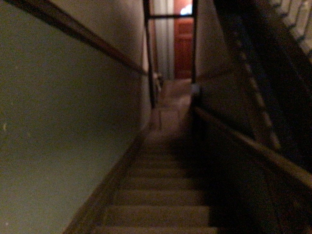 30 Alaska St, Boston, MA, 30 Alaska St, Boston, MA Photo #14