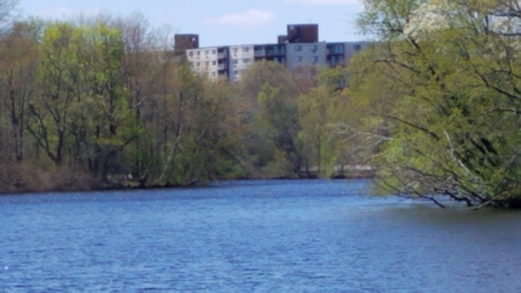 151 Coolidge Ave 105