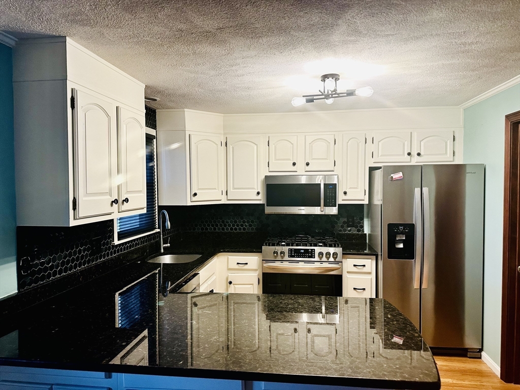 203 Wellman Ave 203