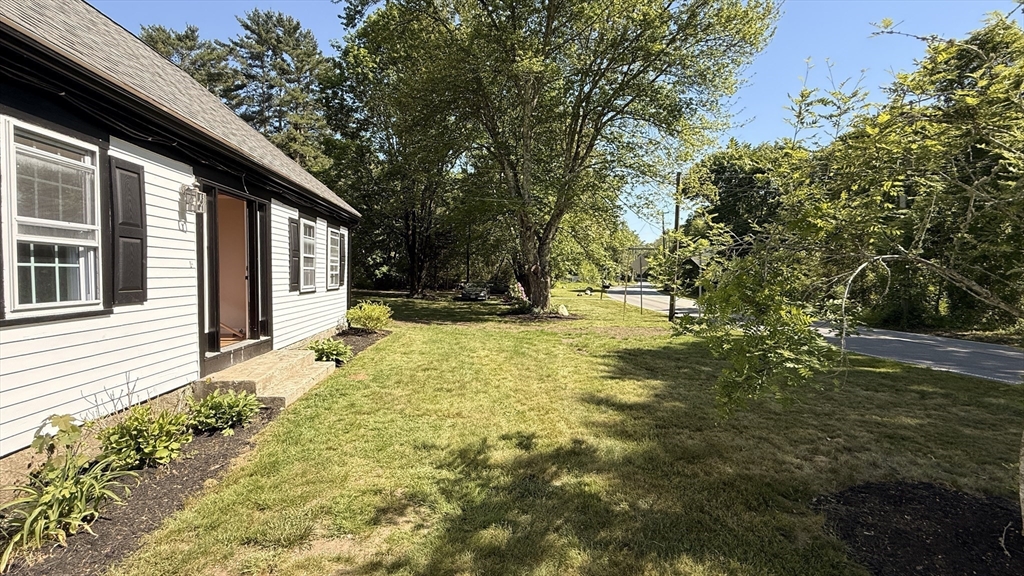 36 Spruce