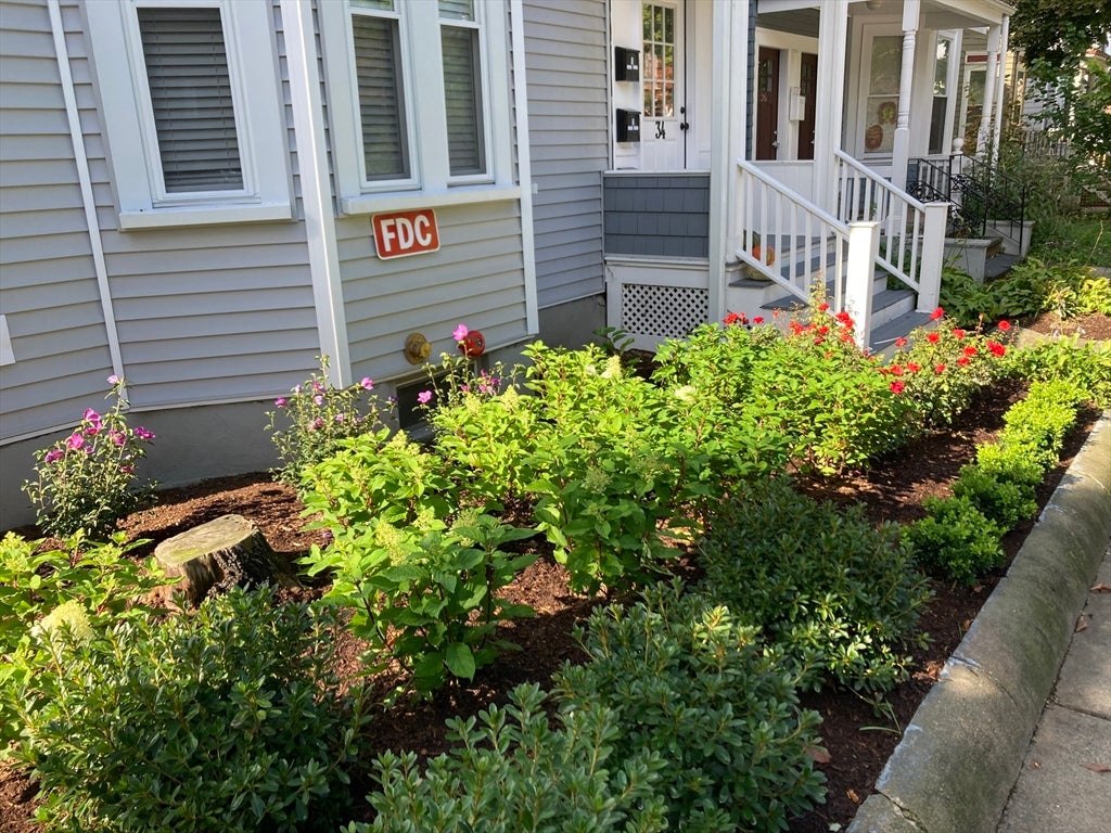 34 Evergreen St #3, Boston, MA, 34 Evergreen St #3, Boston, MA Photo #12