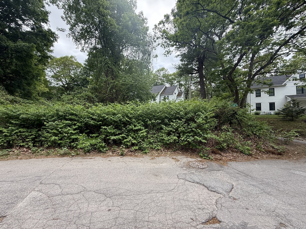 4 Shore Rd