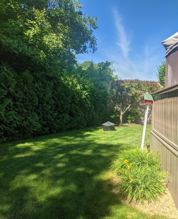 6 Holbrook Rd