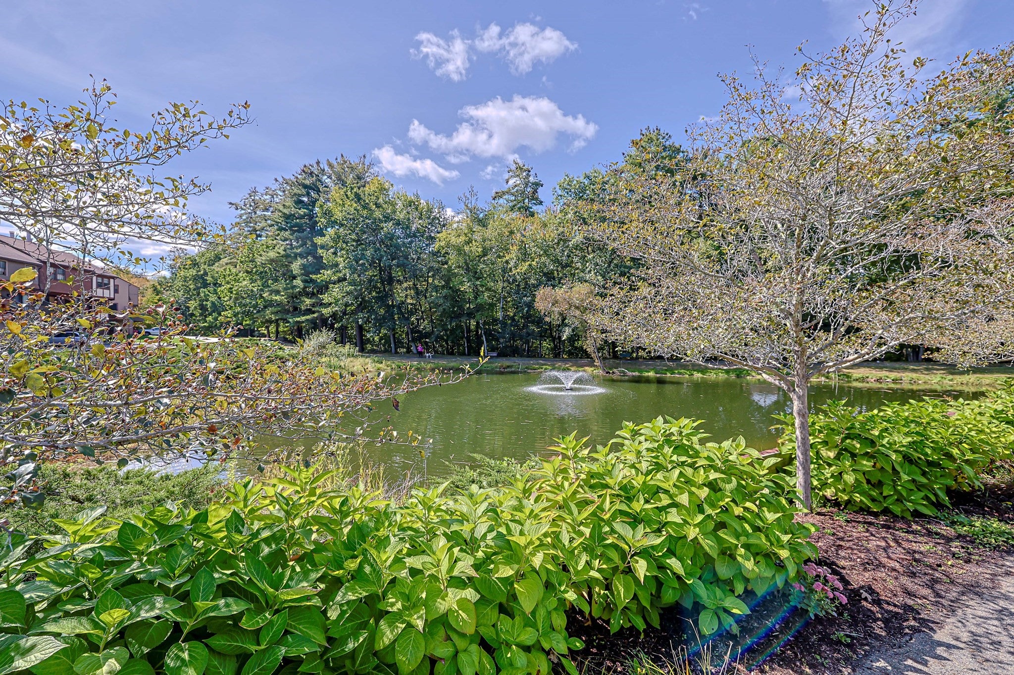52 Scotty Hollow Dr #E 52, Chelmsford, MA Photo #30