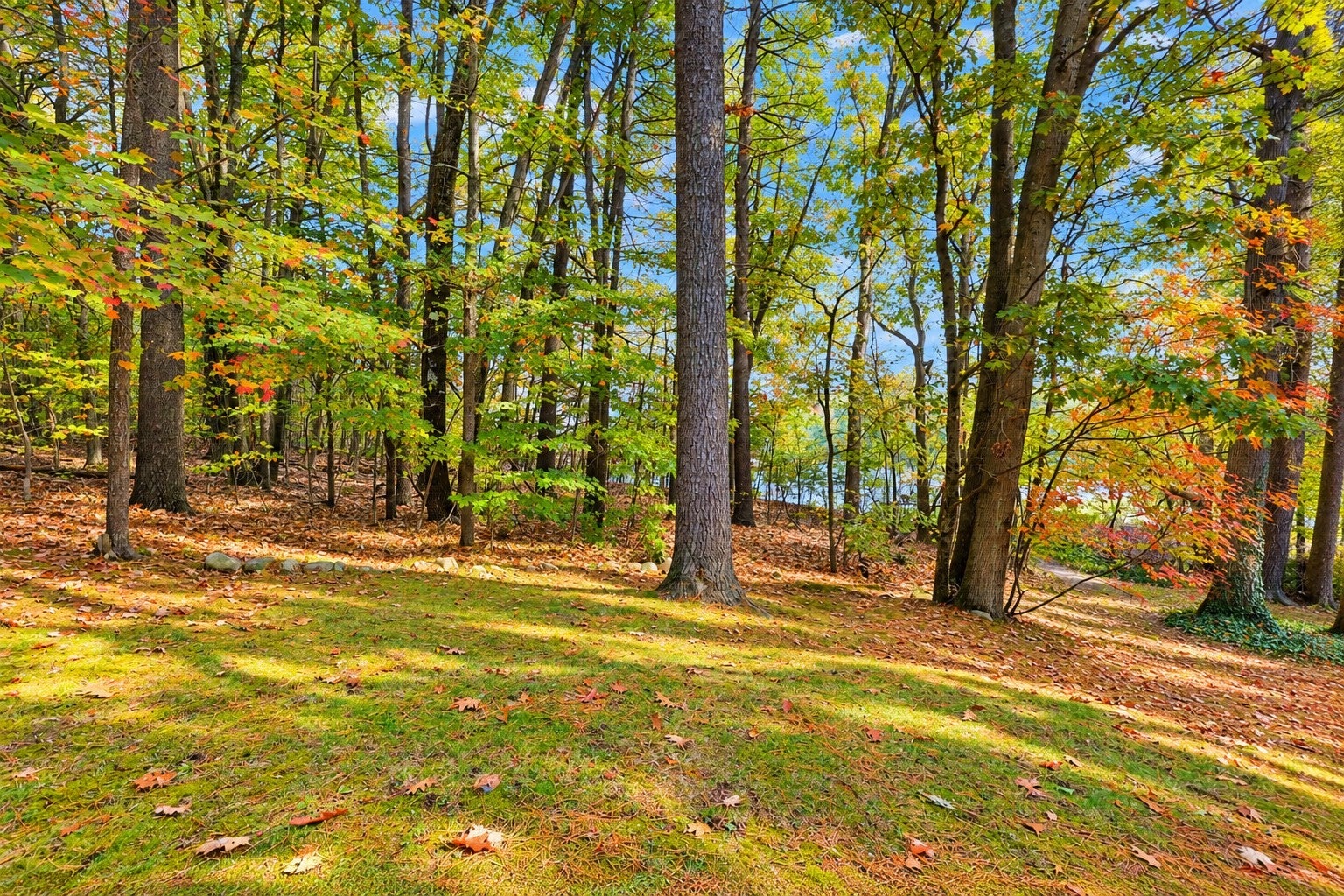 39 Highwood Dr #39, Franklin, MA Photo #37