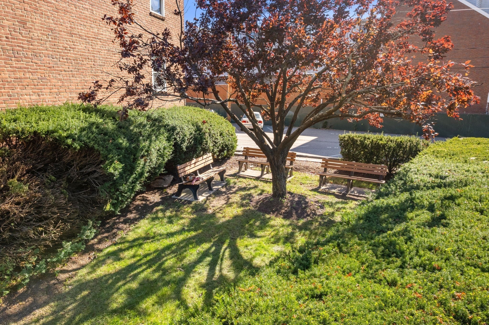 47 Colborne Rd #1, Boston, MA Photo #15