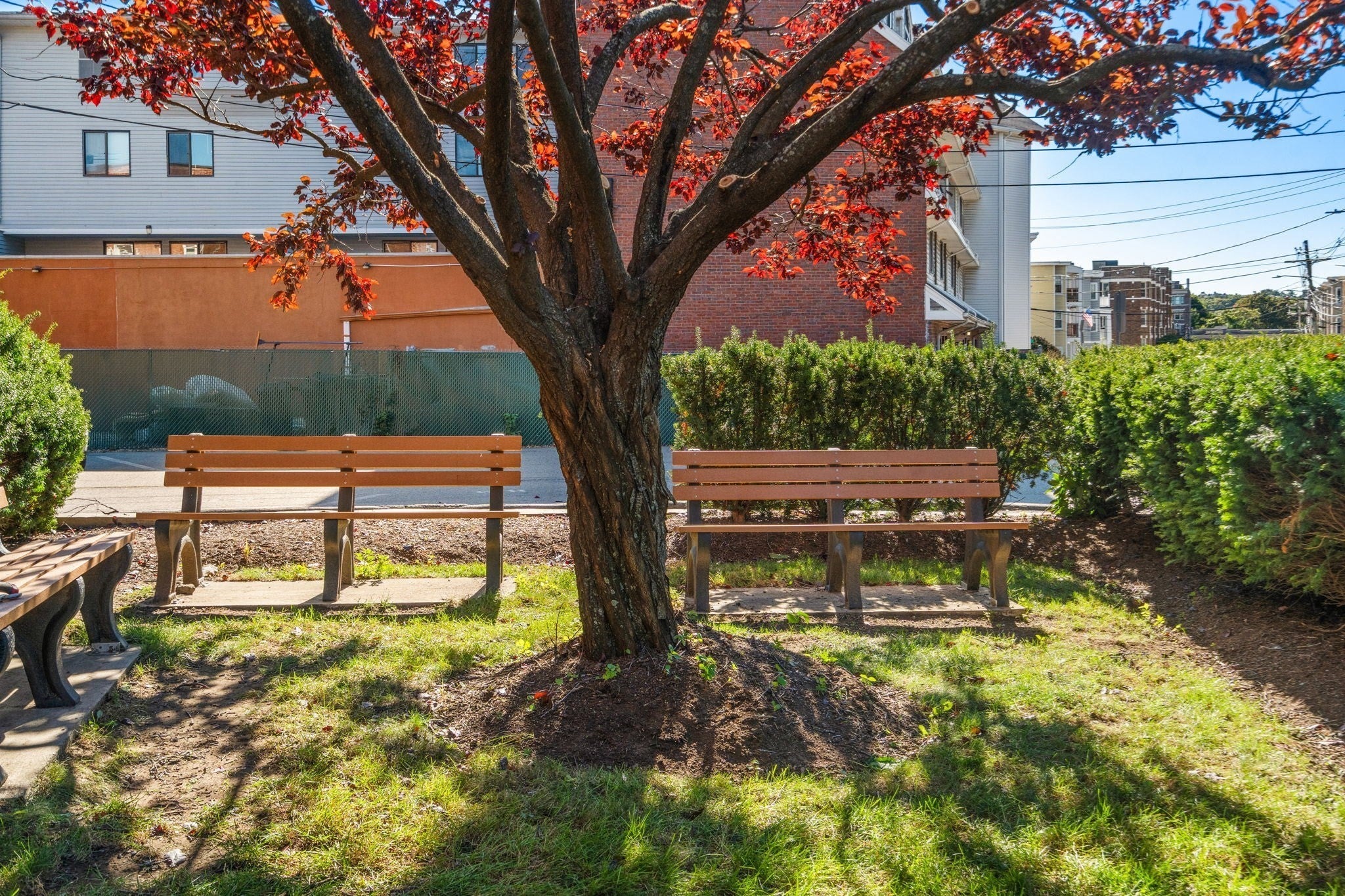 47 Colborne Rd #1, Boston, MA Photo #16