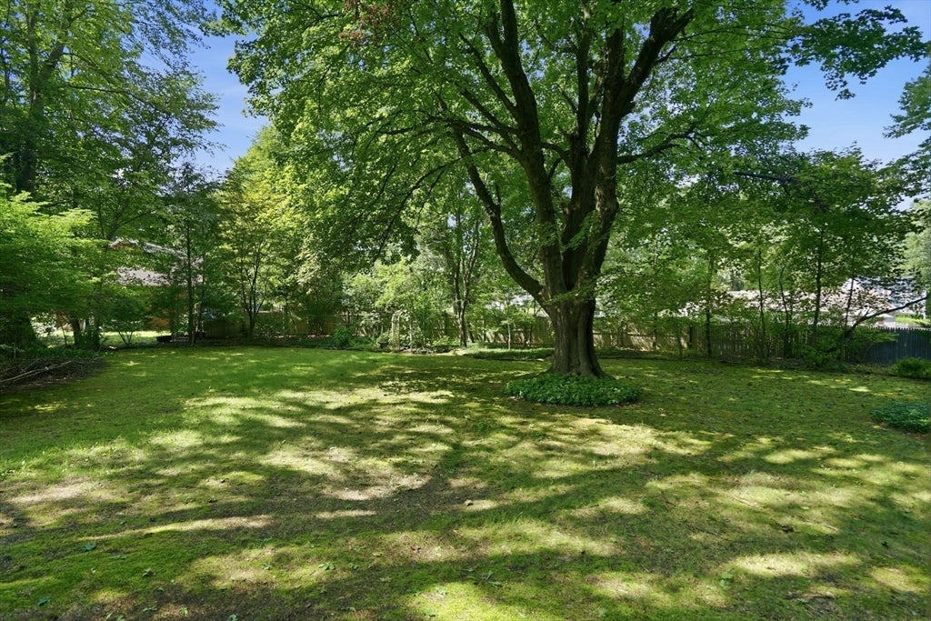 1374 Plumtree Rd, Springfield, MA, 1374 Plumtree Rd, Springfield, MA Photo #2
