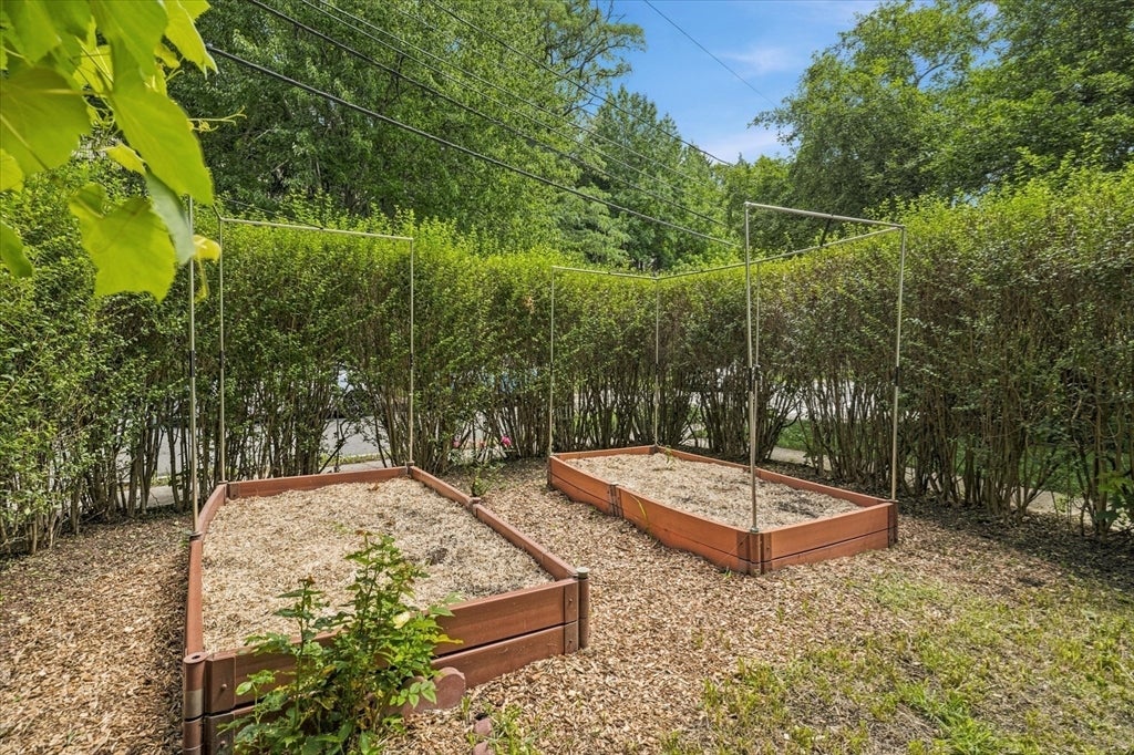 97 Melendy Ave #97, Watertown, MA, 97 Melendy Ave #97, Watertown, MA Photo #37