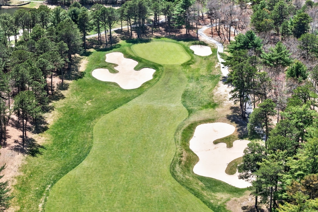 48 Bentgrass Mist 48