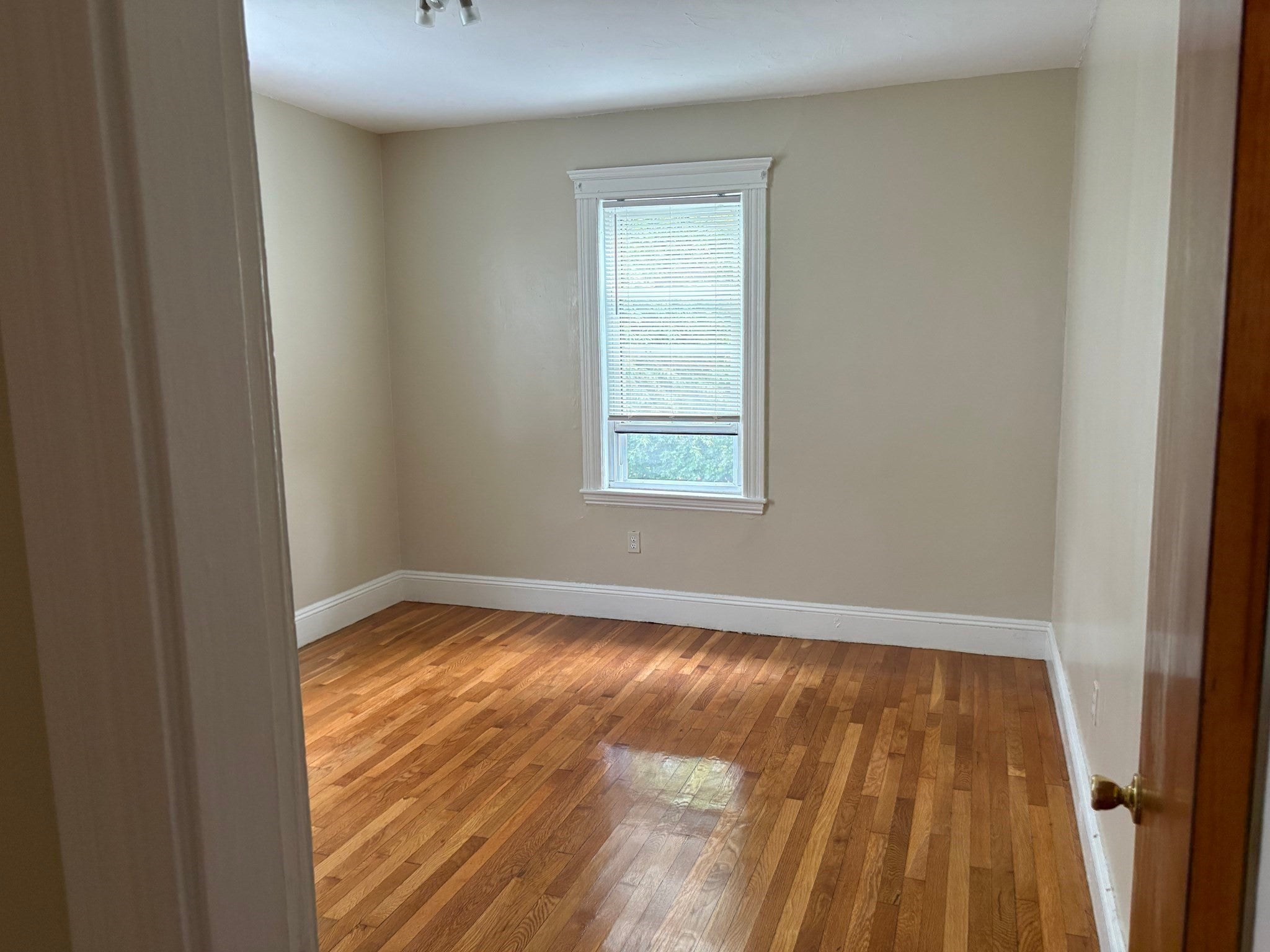 29 Donald Rd #3, Boston, MA, 29 Donald Rd #3, Boston, MA Photo #20