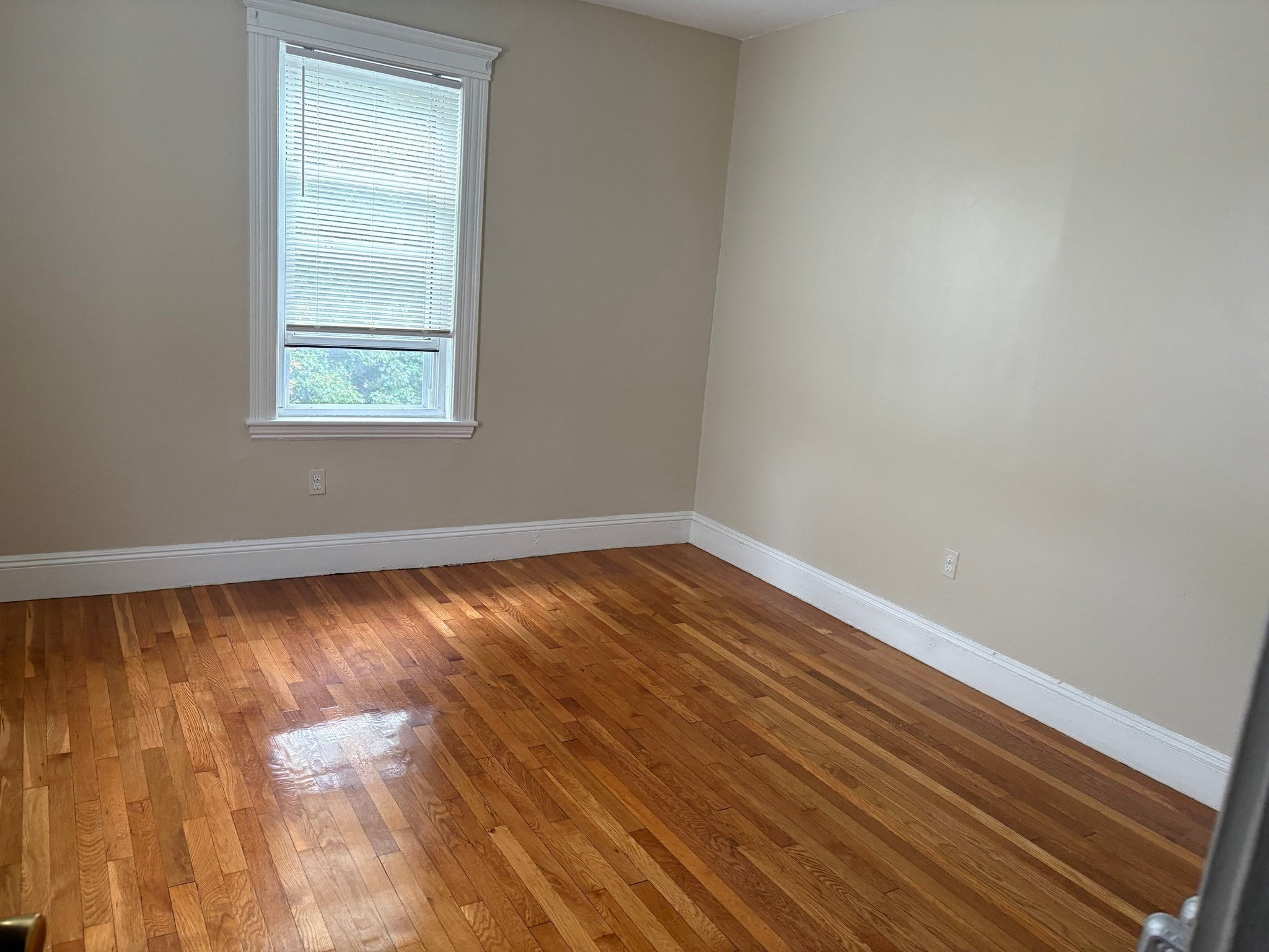 29 Donald Rd #3, Boston, MA, 29 Donald Rd #3, Boston, MA Photo #16