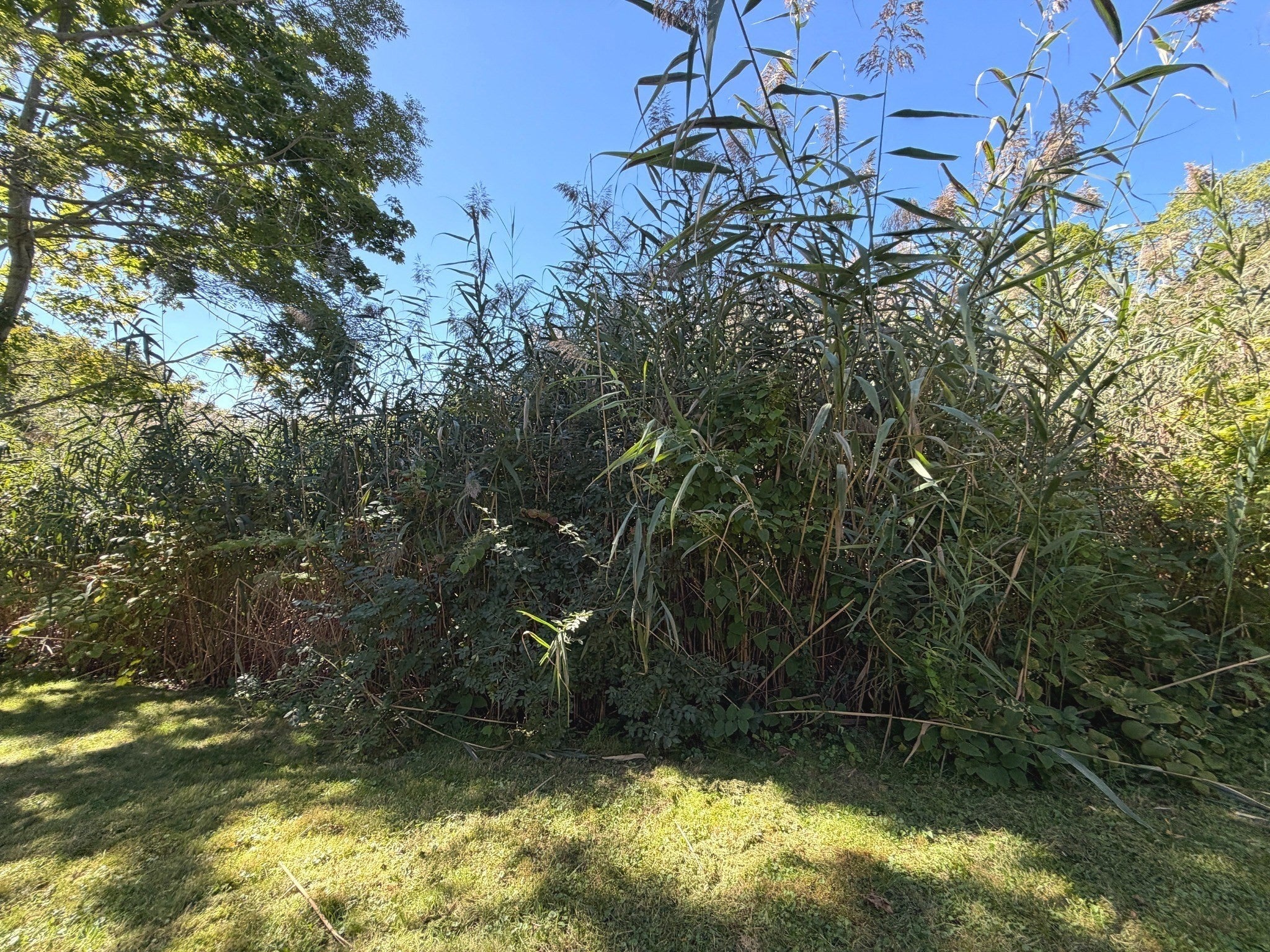 95 Millway, Barnstable, MA Photo #18