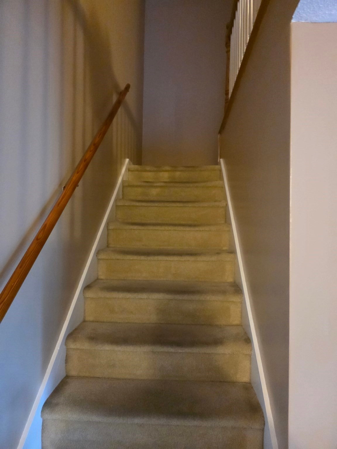 206 Greenbrook Dr #206, Stoughton, MA, 206 Greenbrook Dr #206, Stoughton, MA Photo #4