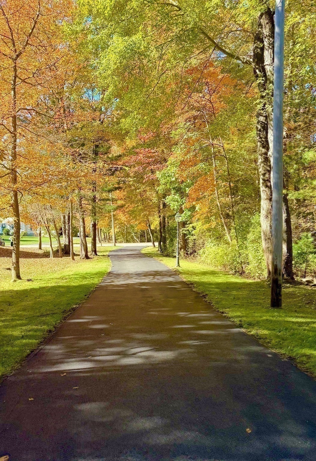16 Parsons Walk, Berkley, MA Photo #28