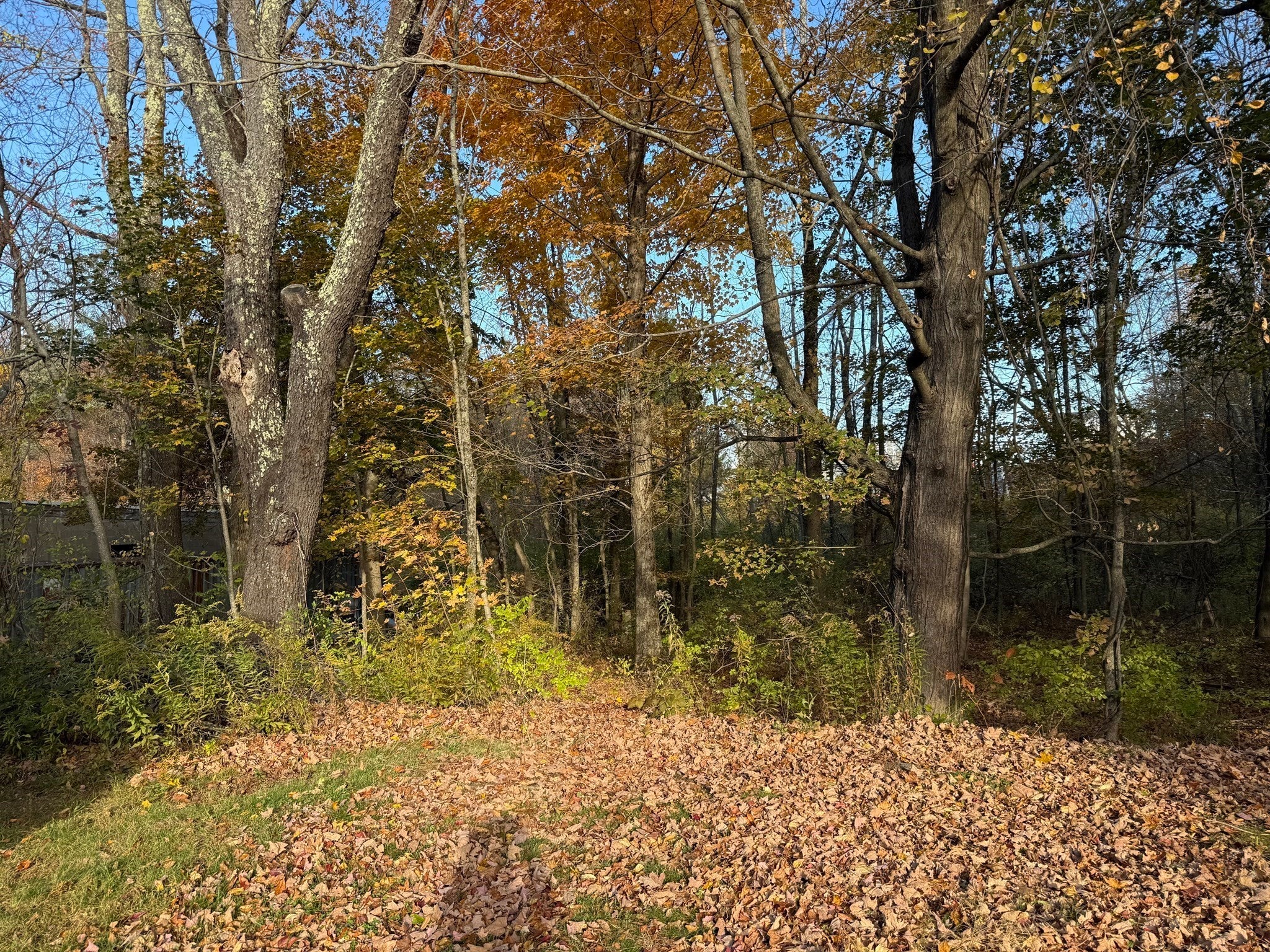 2 Meadowbrook Cir, Rutland, MA, 2 Meadowbrook Cir, Rutland, MA Photo #13