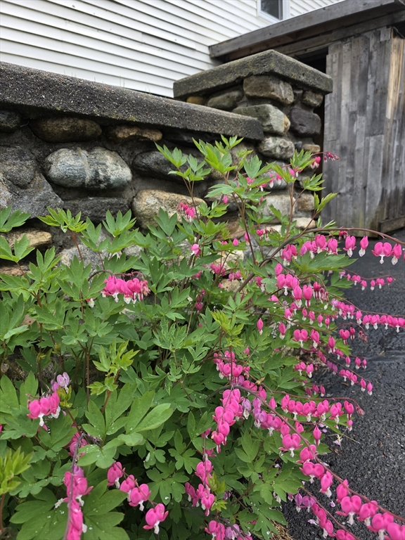 123 Wilson Ave, Athol, MA Photo #30