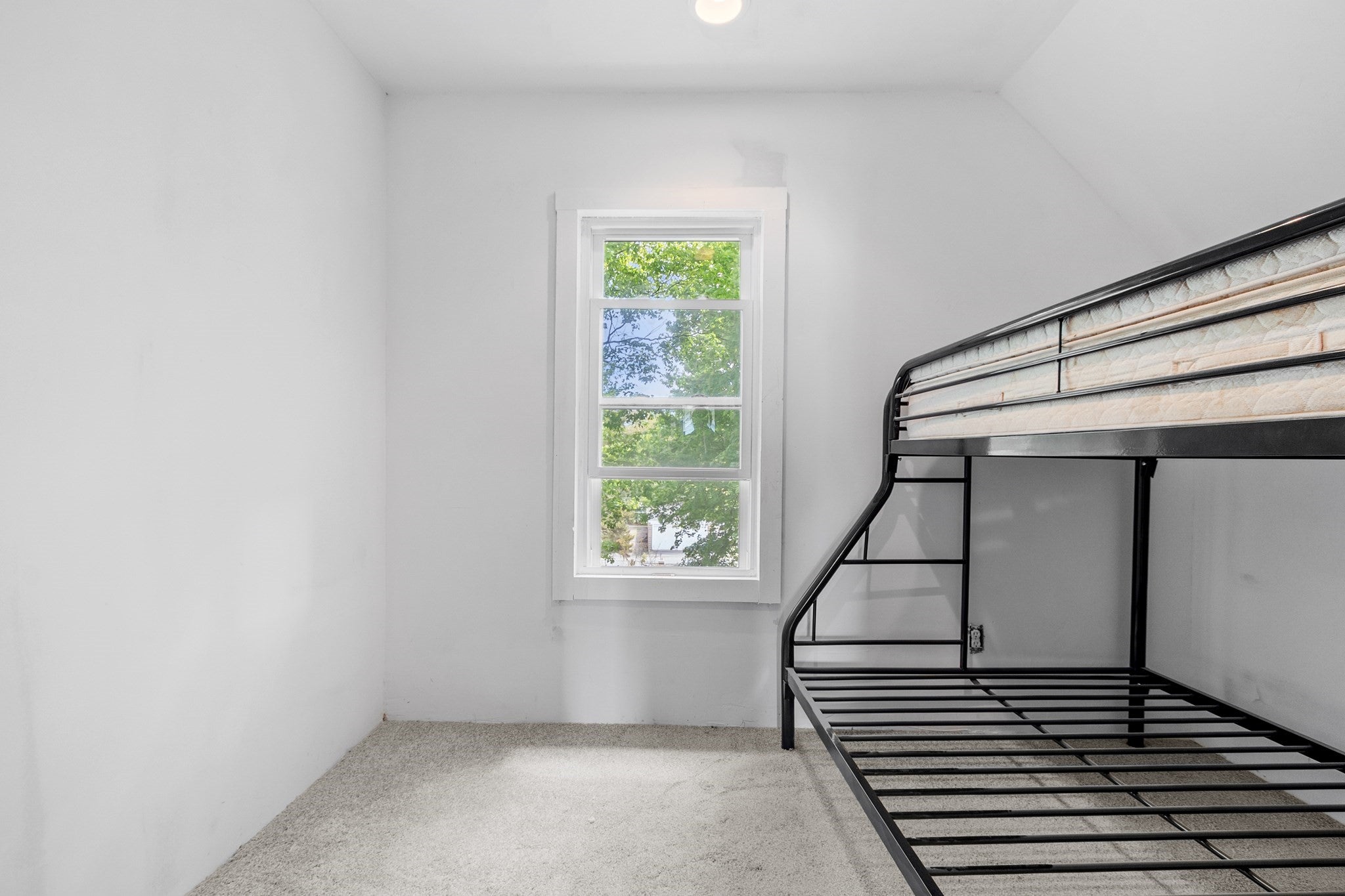 15 Redman Pl, Fitchburg, MA Photo #7