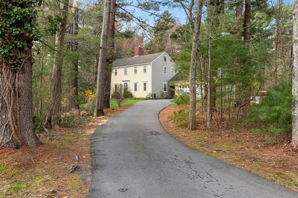 55 Pamden Ln