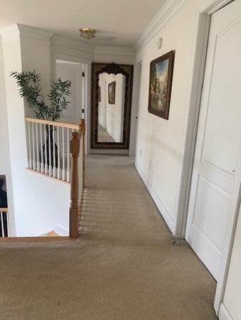 79 Endean Dr, Walpole, MA, 79 Endean Dr, Walpole, MA Photo #12