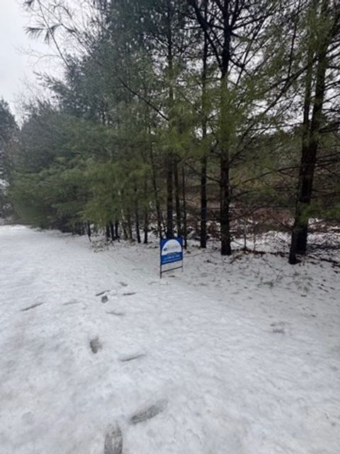 Photo of 0 Dug Hill Road, Holland, MA 01521 (MLS # 73464226)