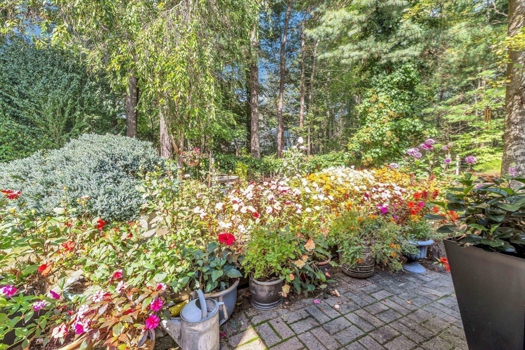 Barnstable, Massachusetts 02635, United States, 3 Bedrooms Bedrooms, ,3 BathroomsBathrooms,Residential,Active,226187